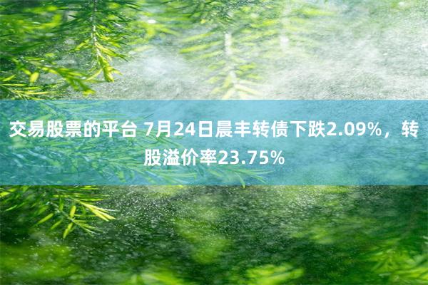 交易股票的平台 7月24日晨丰转债下跌2.09%，转股溢价率23.75%