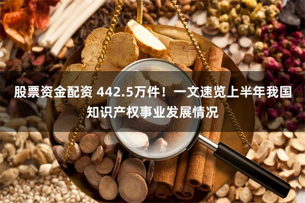 股票资金配资 442.5万件！一文速览上半年我国知识产权事业发展情况