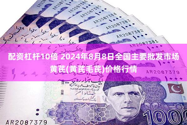 配资杠杆10倍 2024年8月8日全国主要批发市场黄芪(黄芪毛芪)价格行情