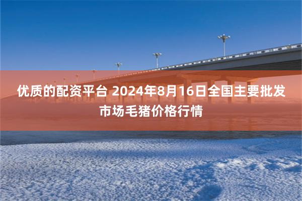 优质的配资平台 2024年8月16日全国主要批发市场毛猪价格行情