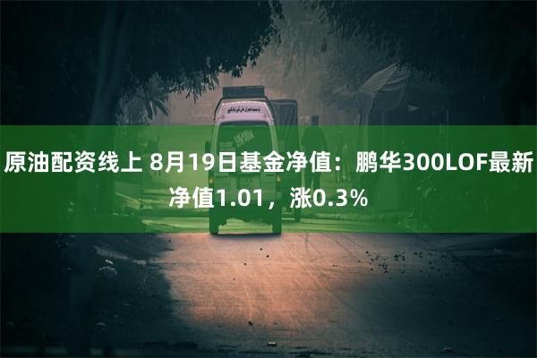 原油配资线上 8月19日基金净值：鹏华300LOF最新净值1.01，涨0.3%