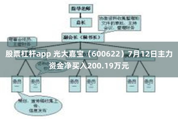 股票杠杆app 光大嘉宝（600622）7月12日主力资金净买入200.19万元