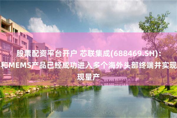 股票配资平台开户 芯联集成(688469.SH)：功率和MEMS产品已经成功进入多个海外头部终端并实现量产