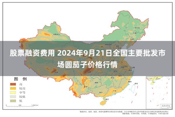 股票融资费用 2024年9月21日全国主要批发市场圆茄子价格行情