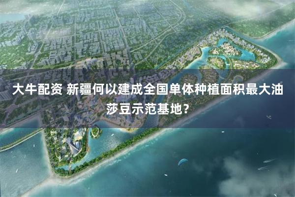 大牛配资 新疆何以建成全国单体种植面积最大油莎豆示范基地？